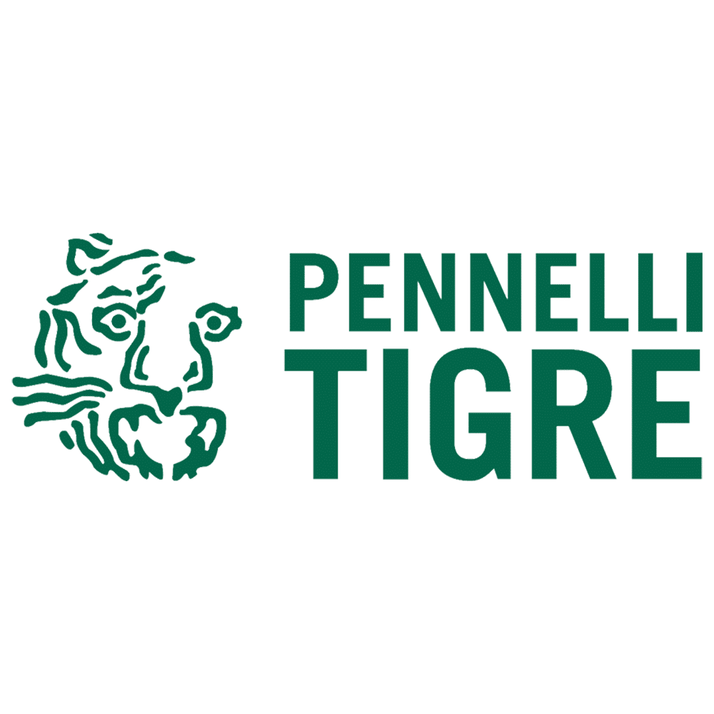 Logo con testa di tigre verde e la scritta “PENNELLI TIGRE” su sfondo bianco.