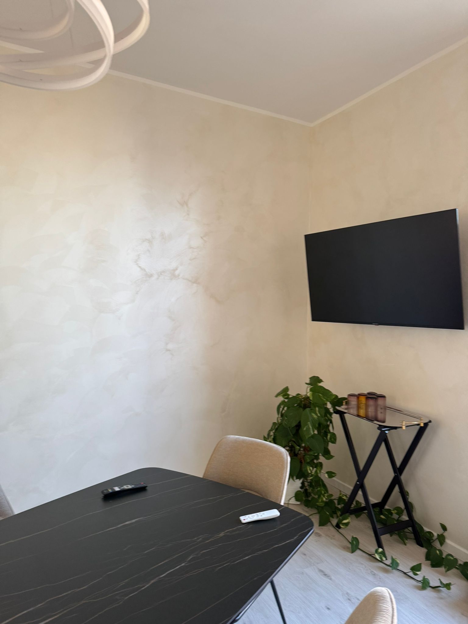 Piccola stanza con TV a parete, tavolo, sedia e pianta in vaso appoggiata al muro.