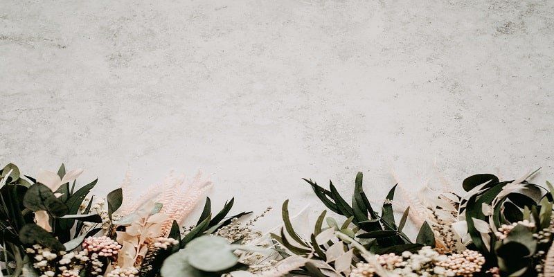 cremation service in Riverside, IL