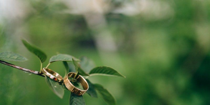 cremation services in Berwyn, IL