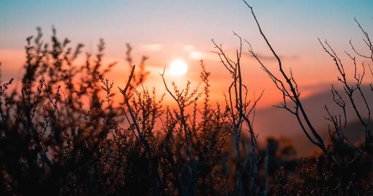 cremation services in Berwyn, IL