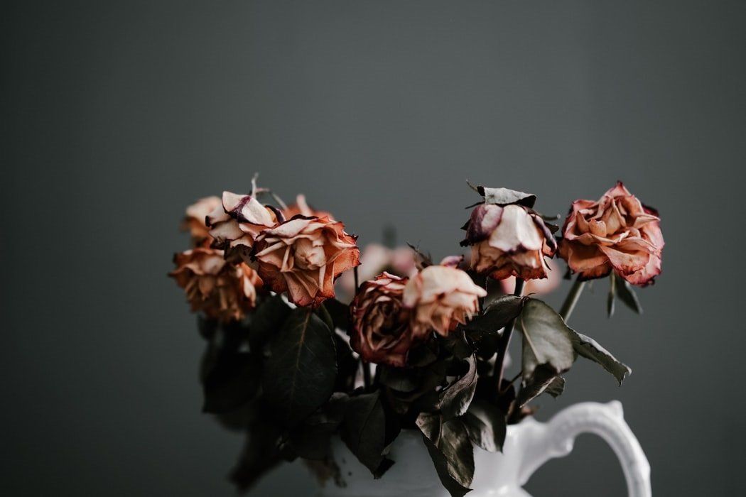 cremation services in Riverside, IL