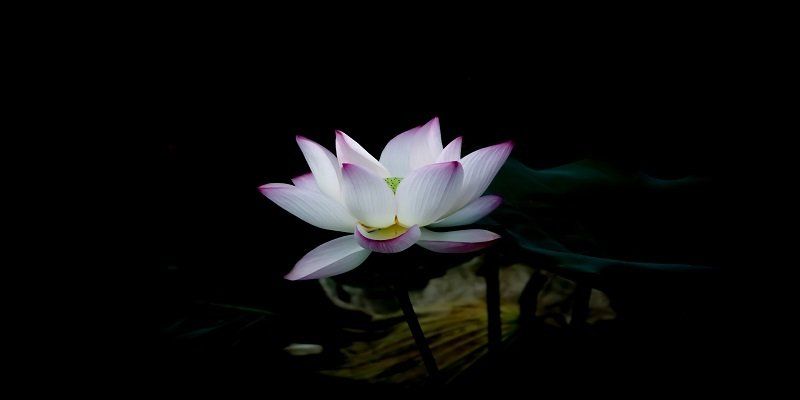 funeral homes in North Riverside, IL