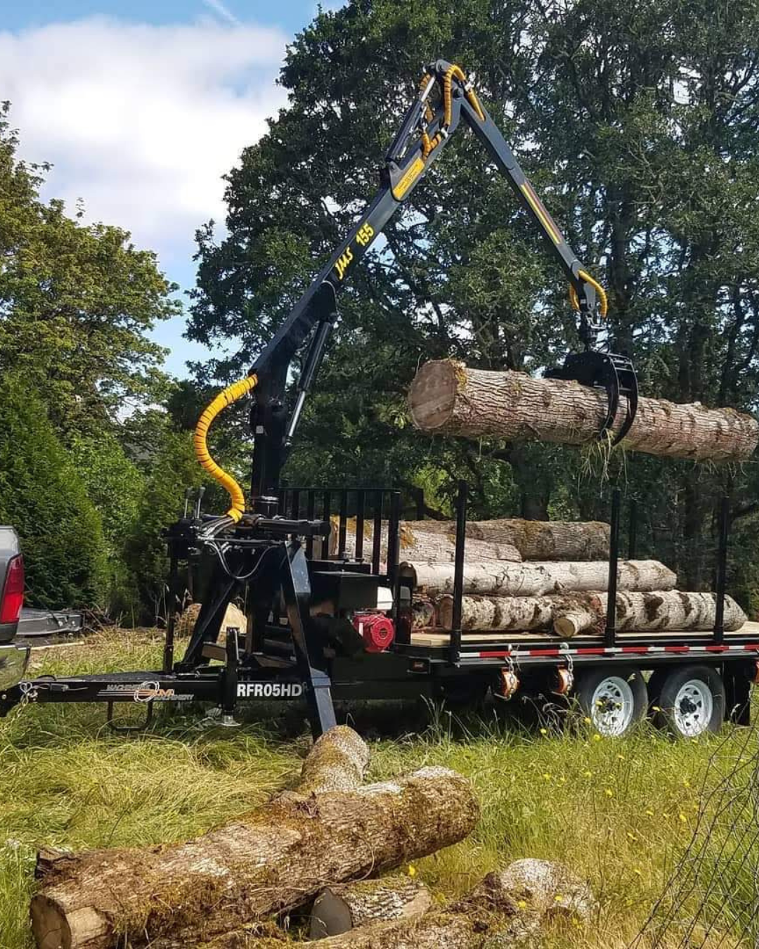 Certified arborist performing safe tree removal service in Corvallis Oregon