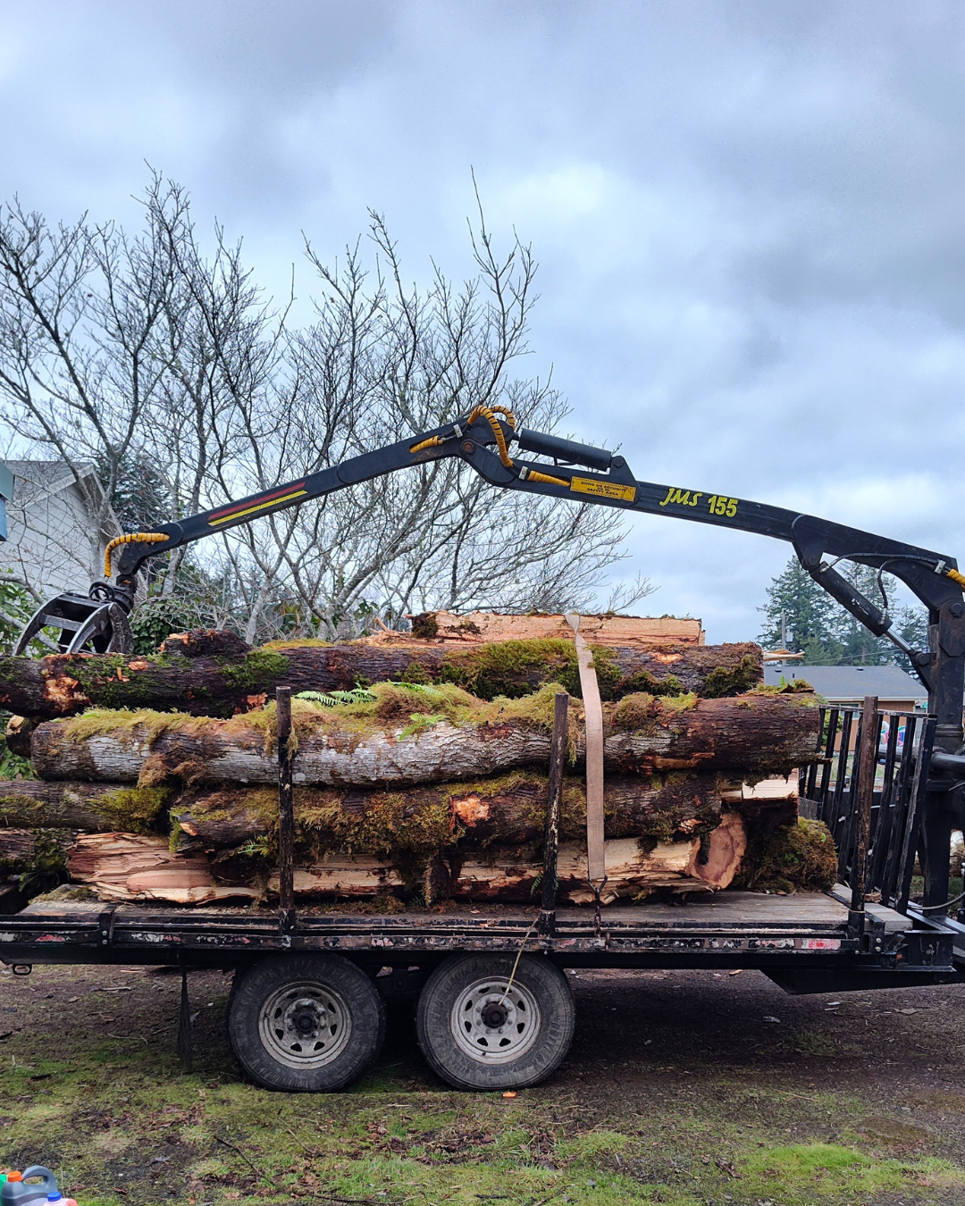 Brush and tree removal during land clearing project