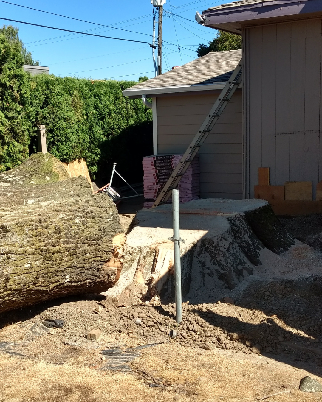 Construction site with exposed foundation, tree trunk, building, ladder, and jack.