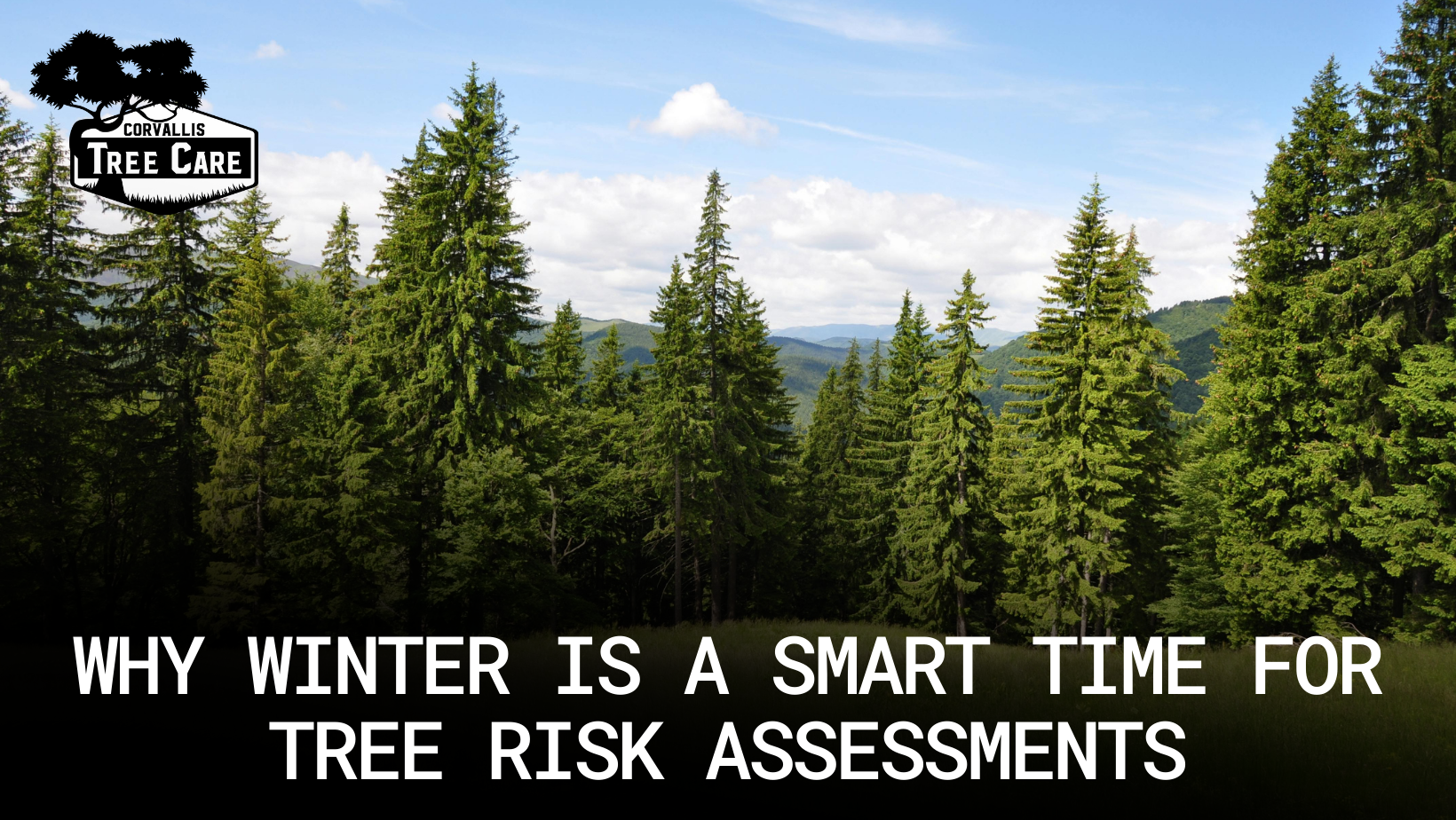 Forest with text: 