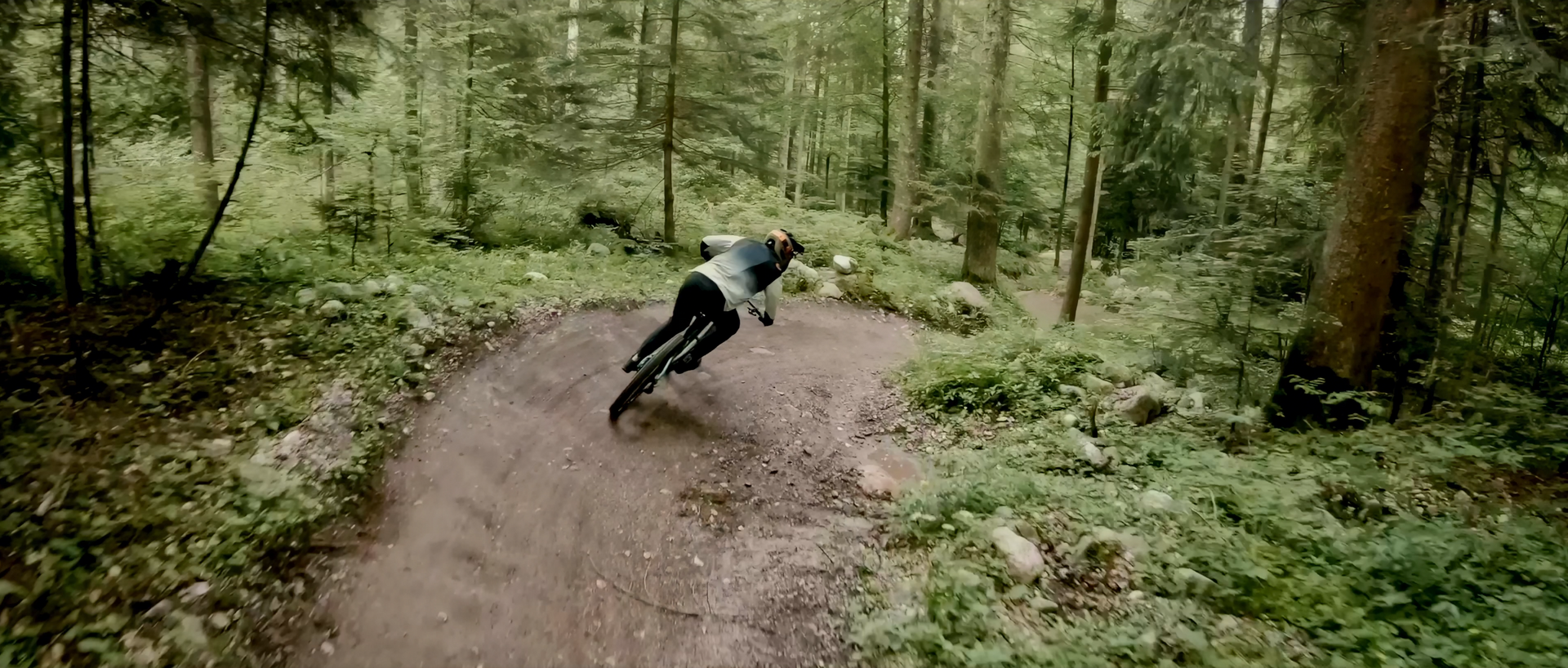 Mountain biker riding a dirt trail through a lush green forest.