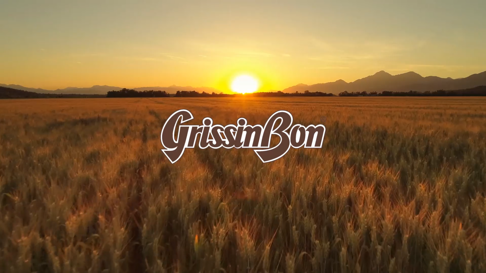 Sunset over a wheat field with 