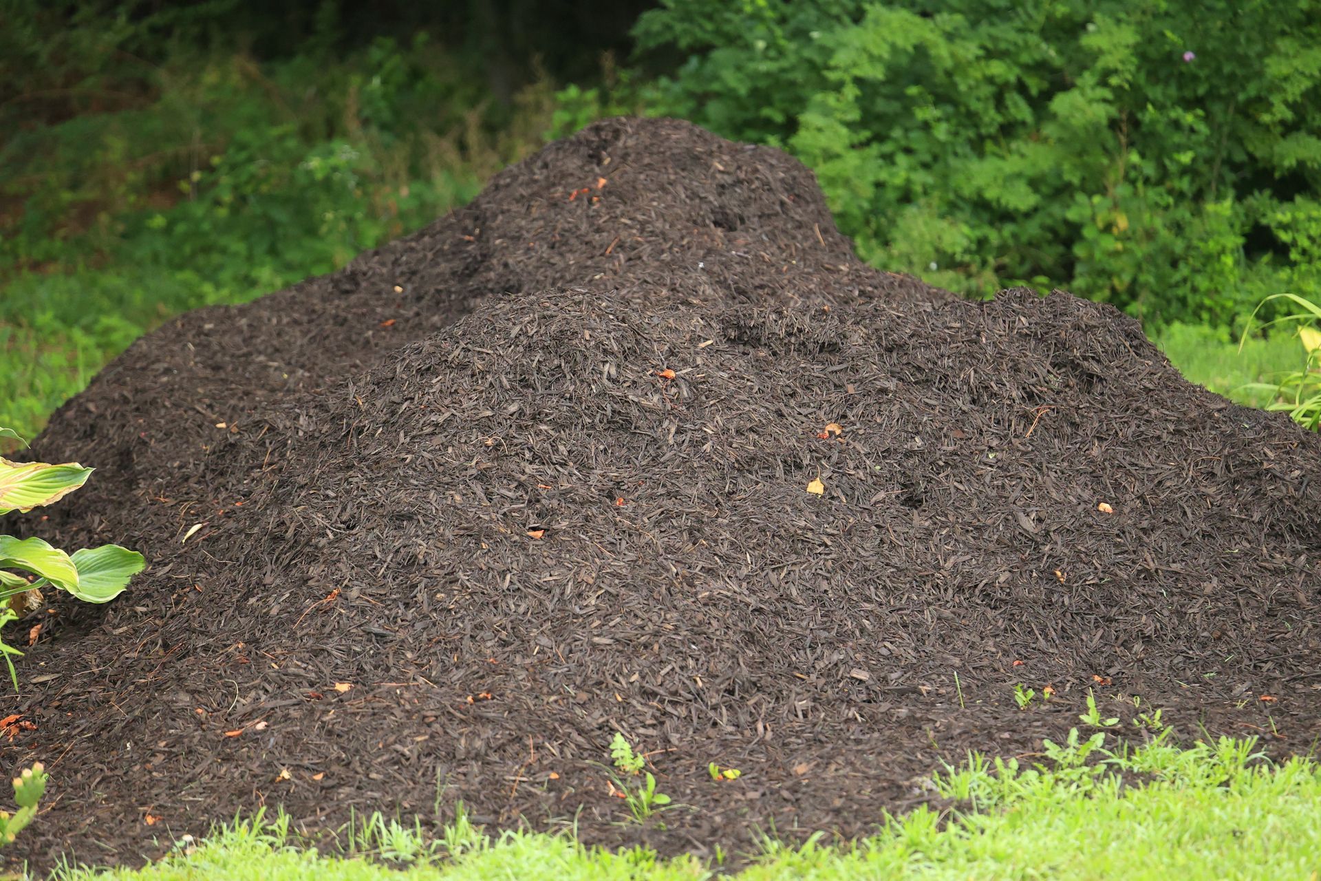 Mulch