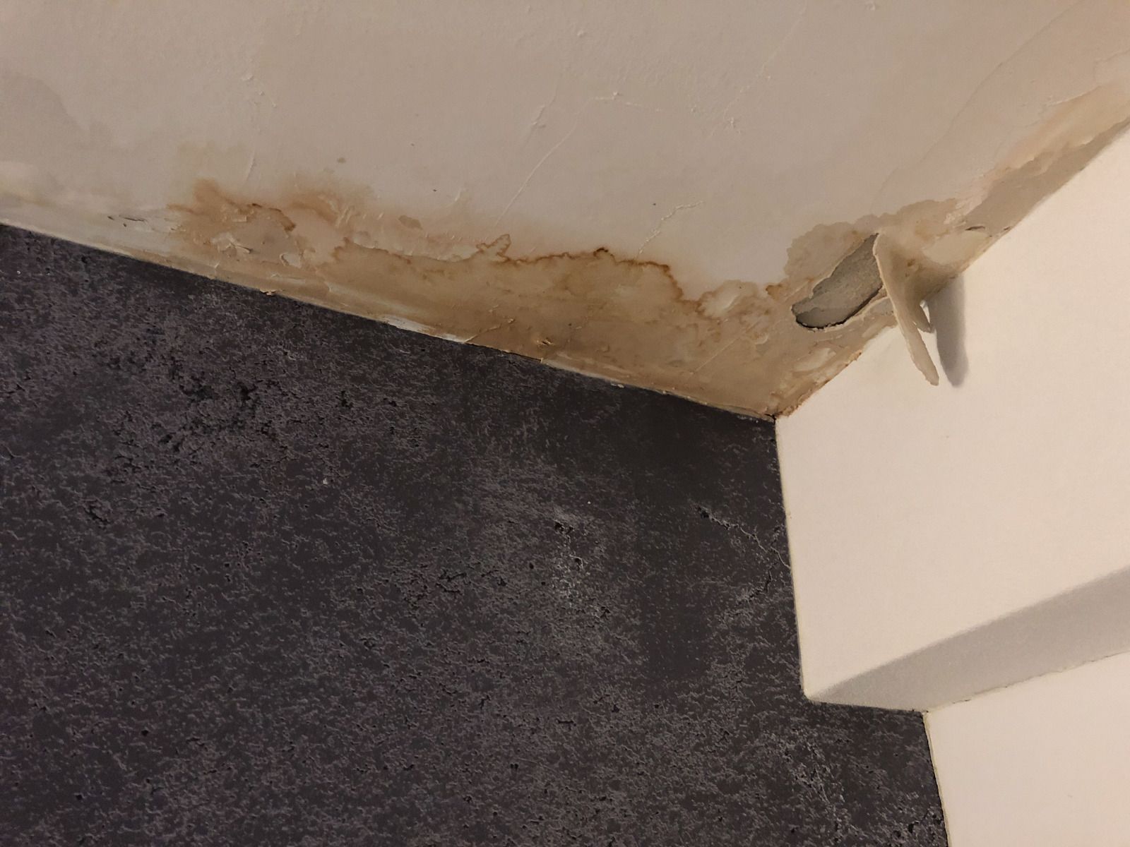 Water-damaged ceiling corner with peeling paint above a dark carpet and white furniture edge