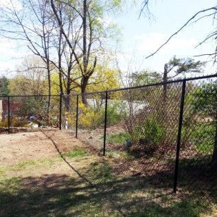 Black chain-link fence in a yard with trees and bushes on a sunny day.