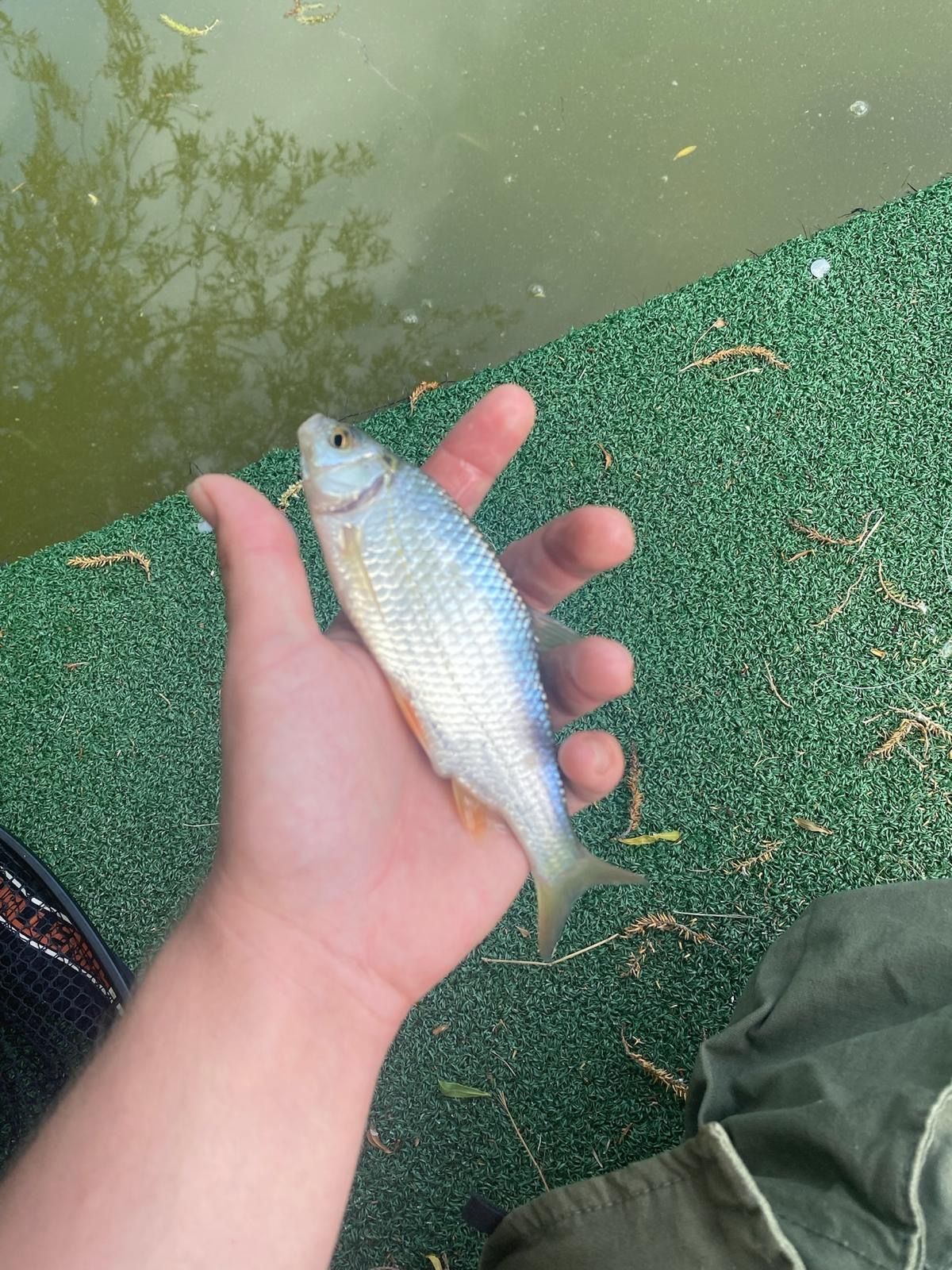 Fishing