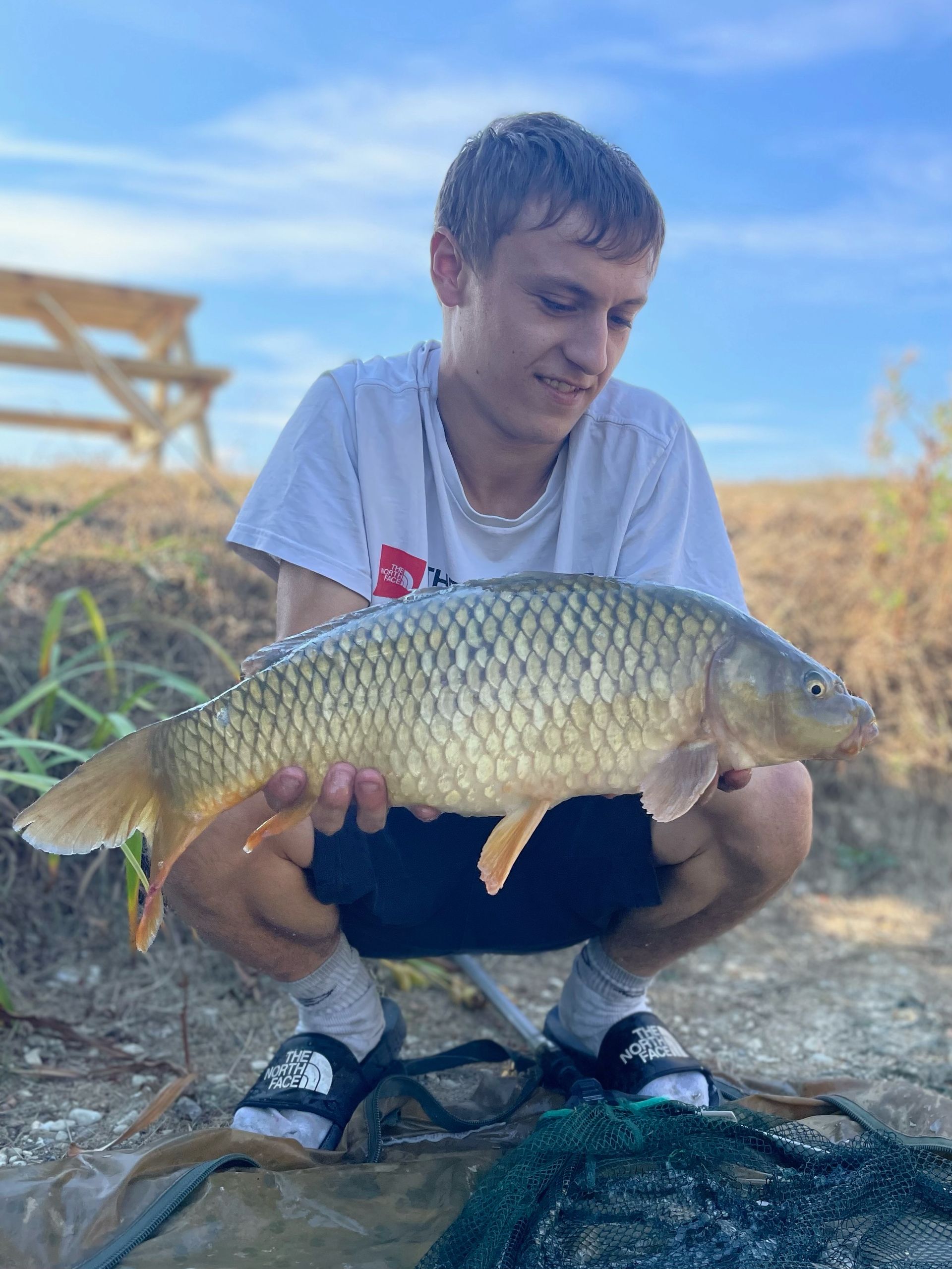 Mirror Carp