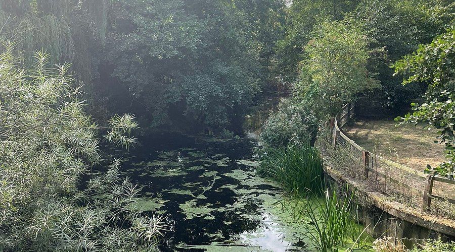 Needham lake