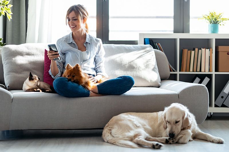 Woman with multiple dogs and cat sitting on couch looking at phone