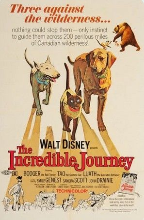 Poster for 