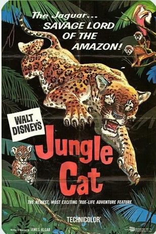 Movie poster for 