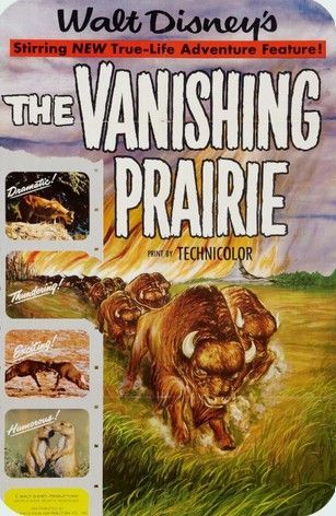 Poster for 