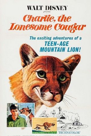 Movie poster for 