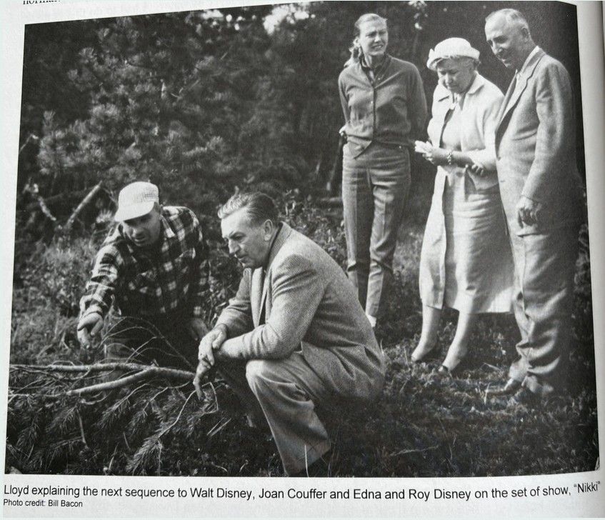 People examining a wooded area. Walt Disney crouches, looking at the ground. Others observe.