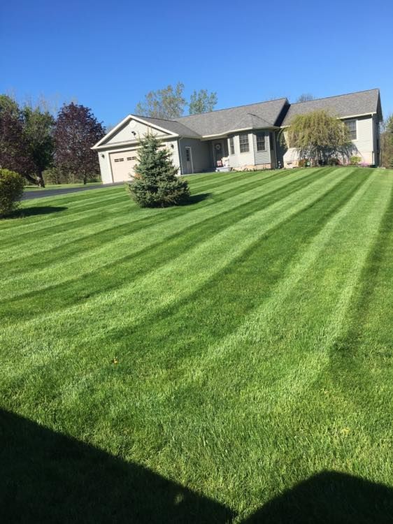 Suburban house with neatly striped green lawn under a clear blue sky