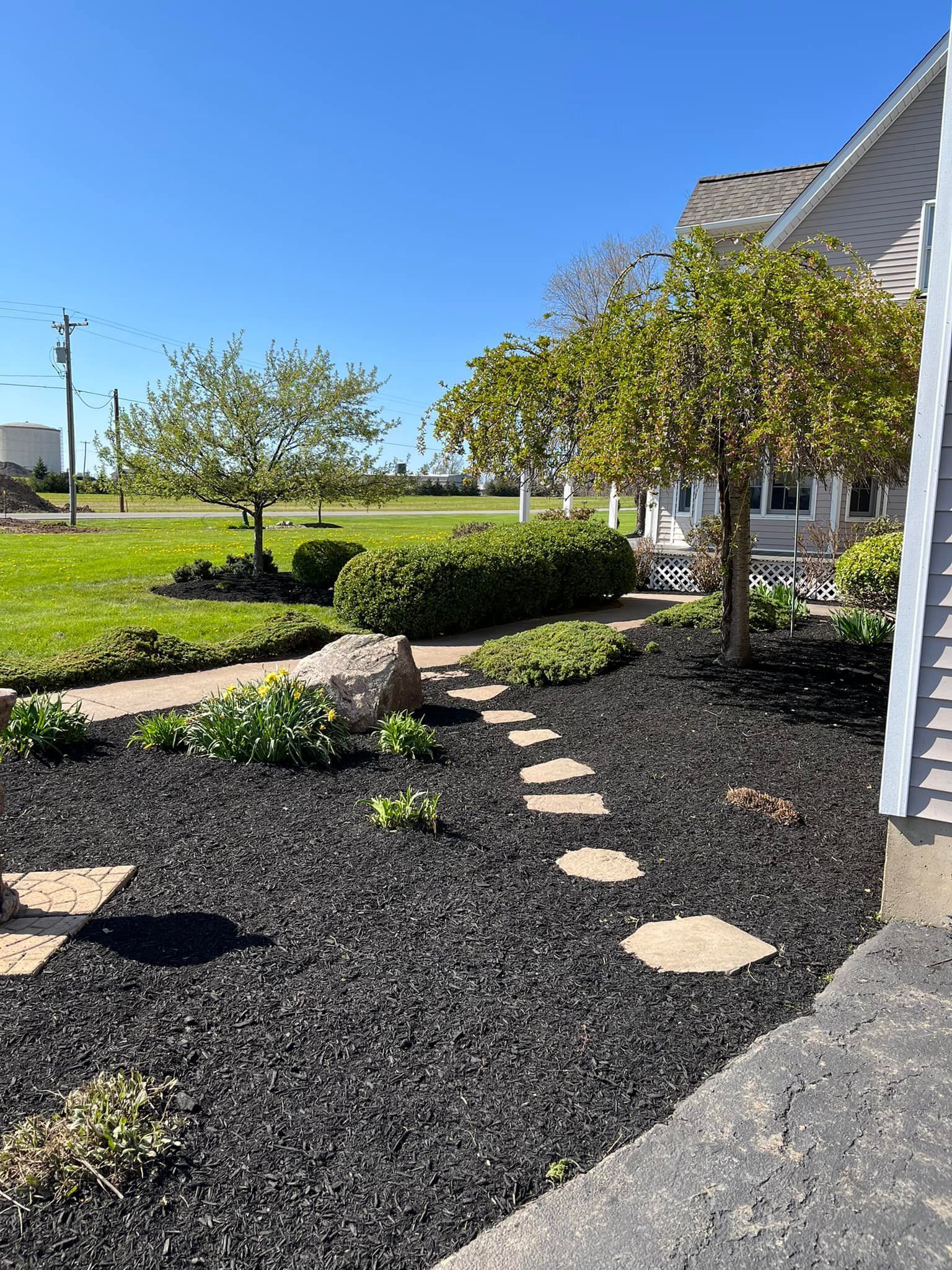 Landscape with black mulch, stepping stones, shrubs, and a house under a bright blue sky