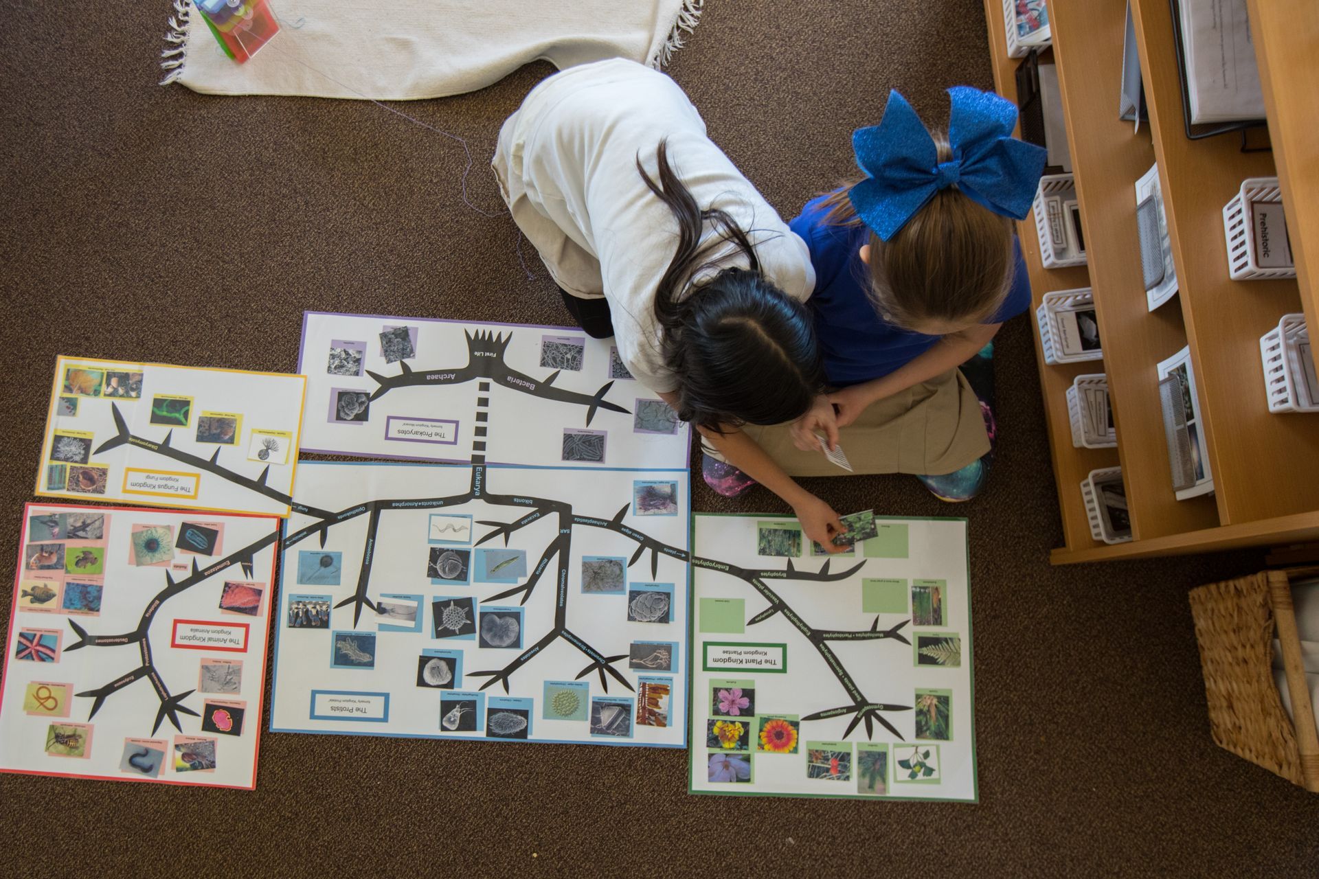 Two children on a classroom floor working on the tree of life material.