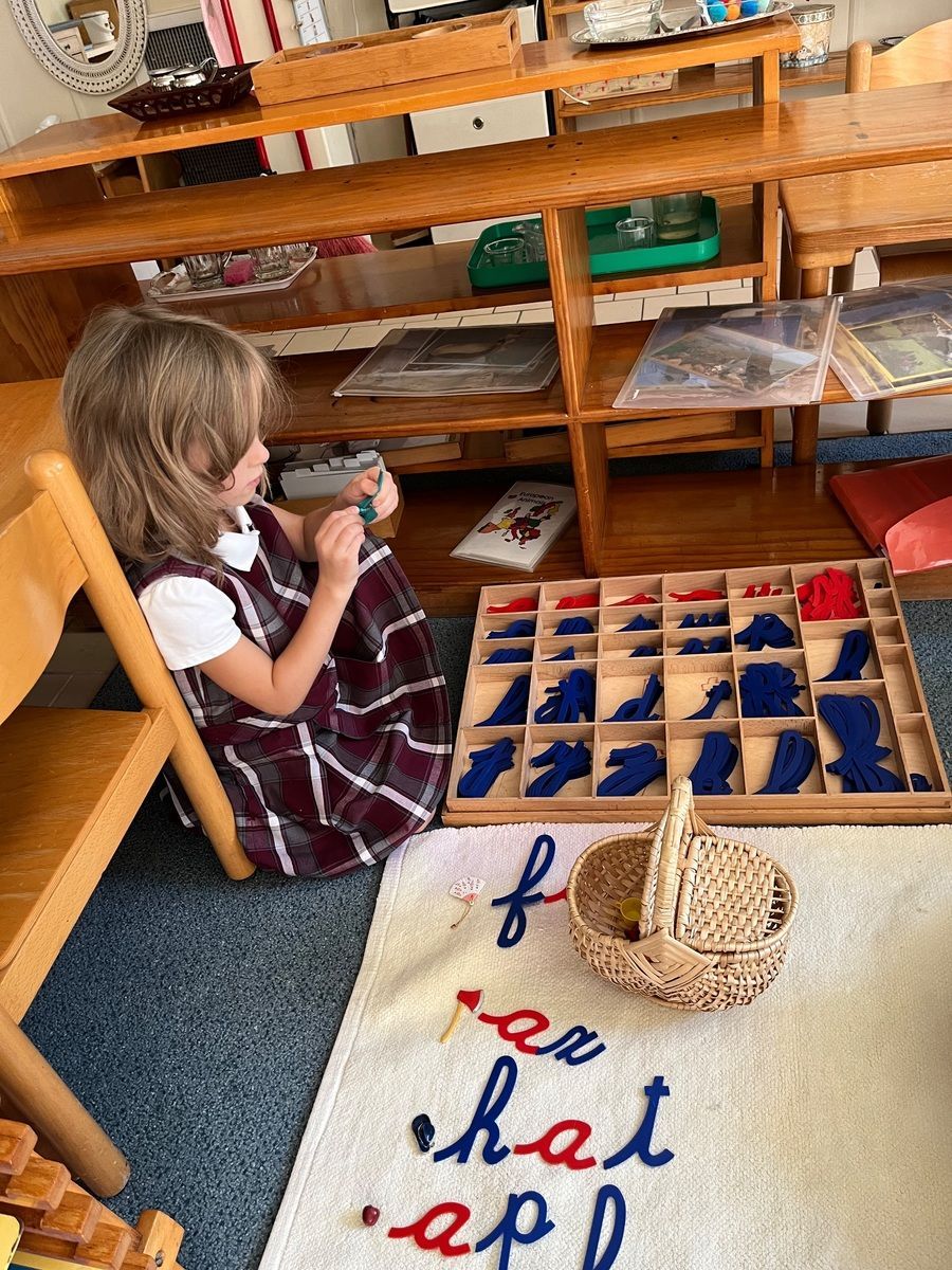 Child sitting on floor sorting letters with a moveable alphabet in a classroom