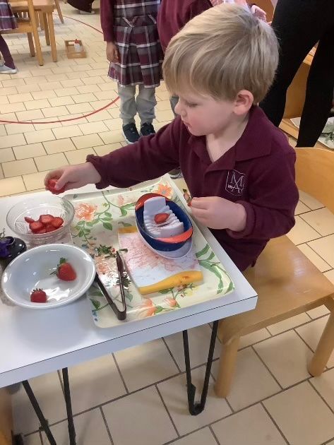 Child in a maroon shirt arranging fruit on a tray at a classroom table