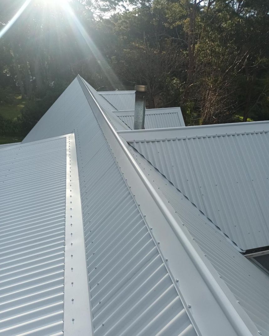 The Sun is Shining Through the Trees on the Roof of a House — Northern Rivers Metal Roofing PTY LTD In Tweed Heads, NSW