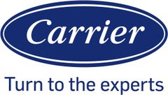 placeholder logo