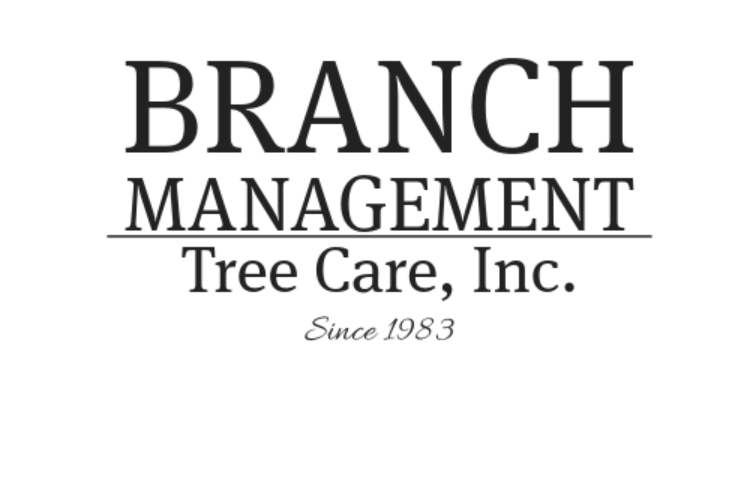 Branch Management Tree Care, Inc. logo with text: