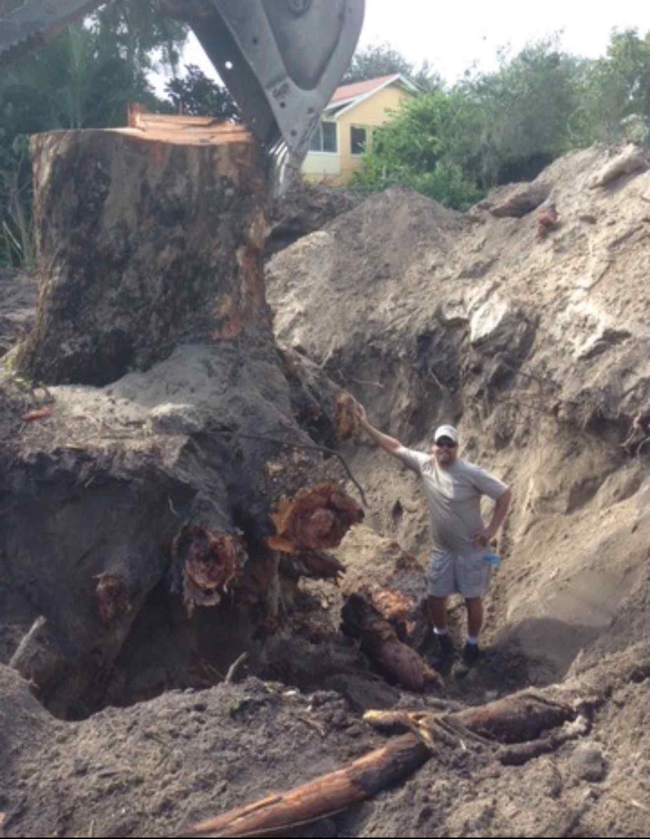 Man next to a large tree stump, excavator overhead. Dirt and exposed roots in an outdoor setting.