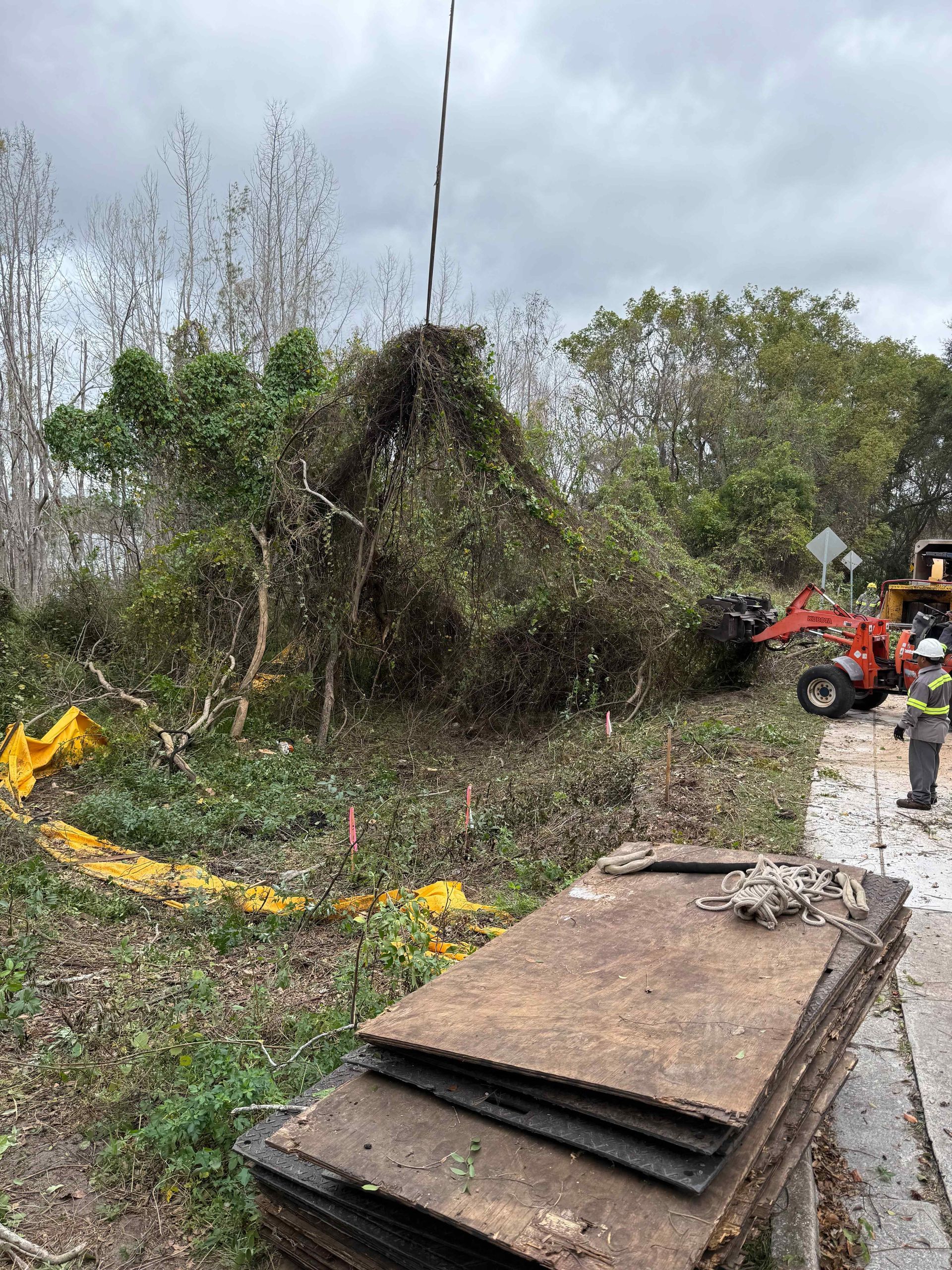 Equipment clearing overgrown vegetation near a road, cloudy sky overhead.