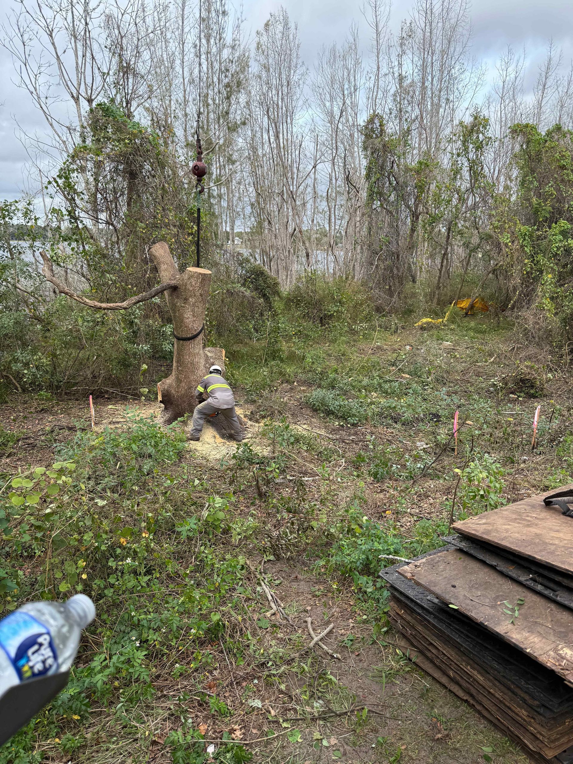 Person using chainsaw on tree stump in overgrown yard.