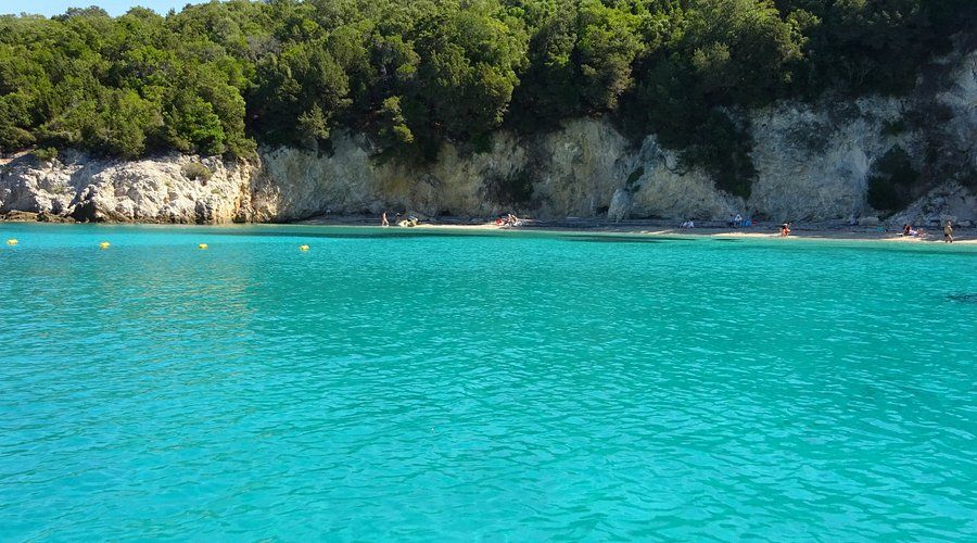 Turquoise sea with a rocky, forested shoreline under clear daylight.