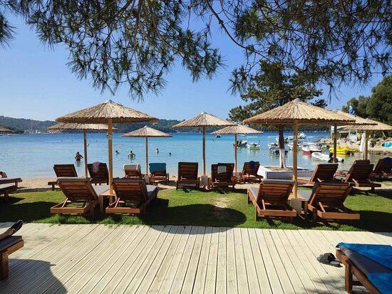 Beach lounge chairs under straw umbrellas facing a calm blue sea, with trees framing the top.