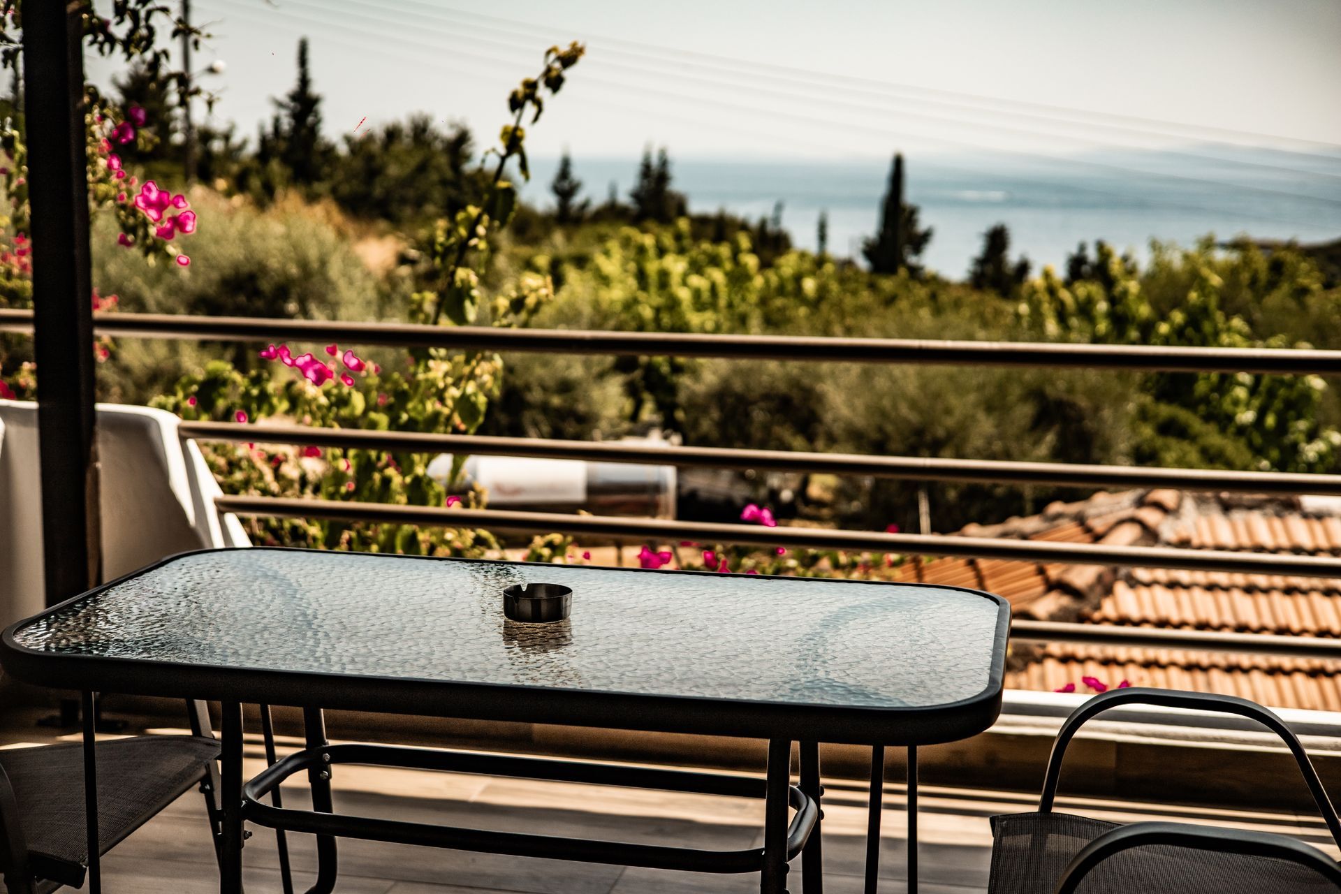 view from the terrace