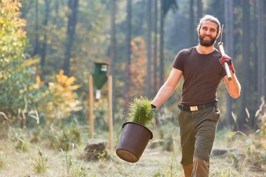 Man carrying a potted plant and garden tool through a sunlit forest clearing