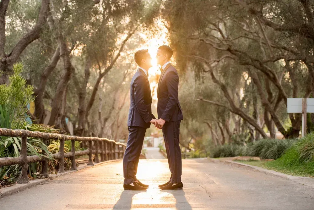 Two people in suits stand facing each other on a sunlit tree-lined road, hands joined.