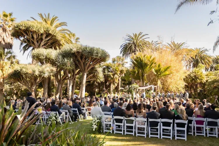 Outdoor wedding ceremony in a palm garden with rows of white chairs and seated guests