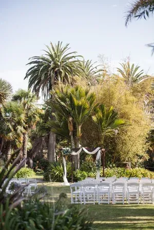 Outdoor garden wedding setup with white chairs, draped arch, and palm trees under bright daylight