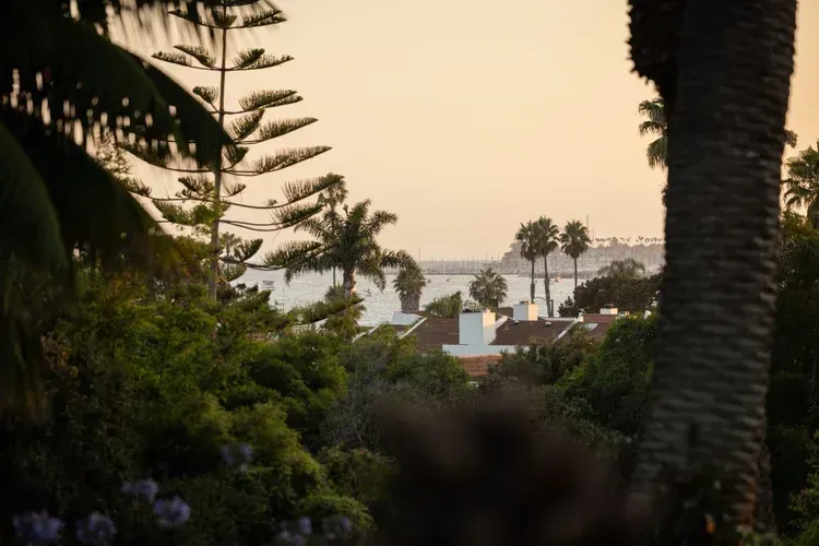 Palm trees framing a sunset view of a coastal town and ocean beyond