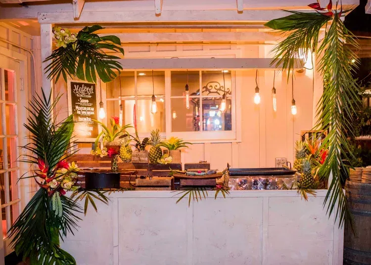 Warm, plant-filled café counter with hanging lights and a white front desk