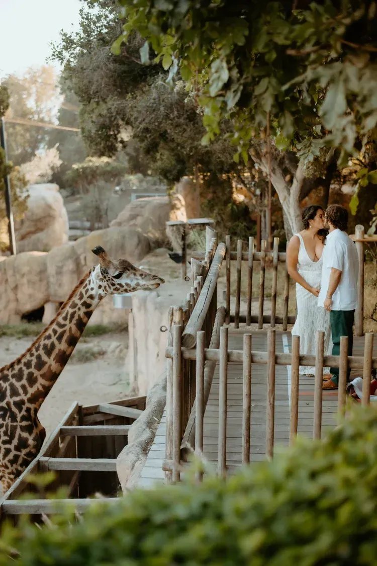 Giraffe leaning toward two people by a fence in a wooded zoo enclosure