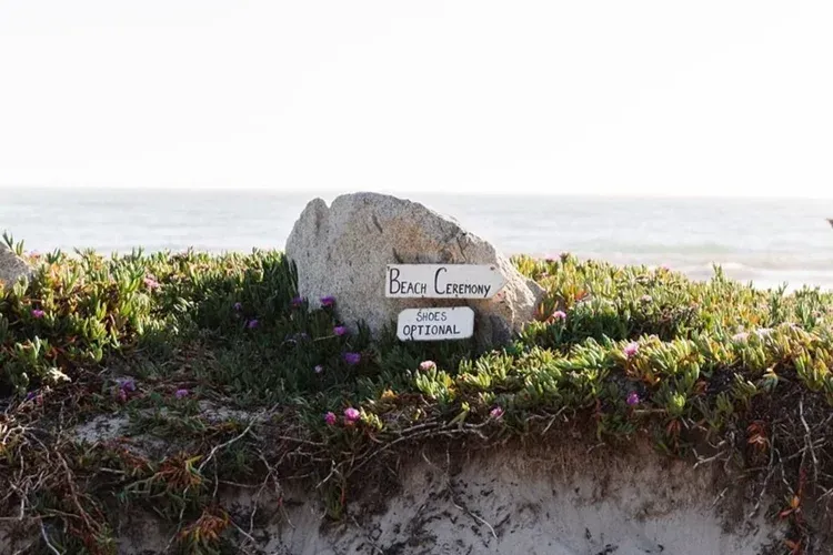 Flower-covered beach sign with ocean in the background