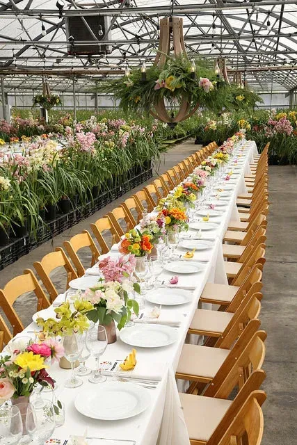 Long banquet table with white plates and flowers inside a greenhouse full of plants