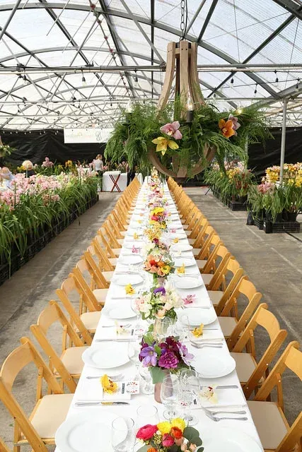 Long banquet table in a greenhouse, set with white tablecloths and colorful floral centerpieces.