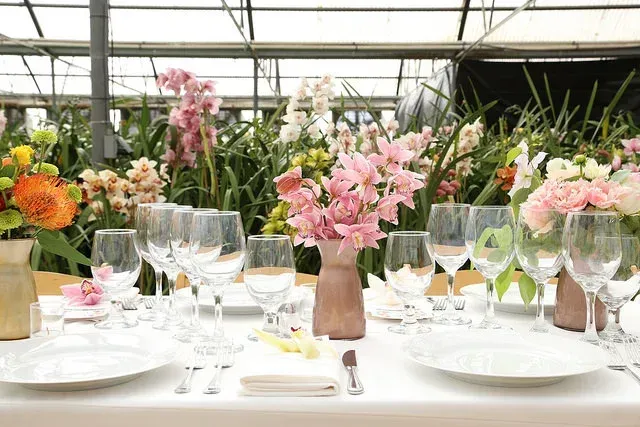 Elegant dining table with pink flowers, wine glasses, and white plates in a greenhouse setting